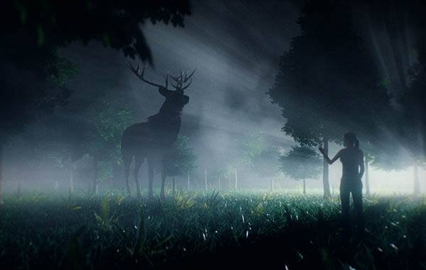 Jeb Hardwick Digital Media